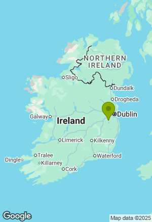 Weimaraner for sale in Wicklow