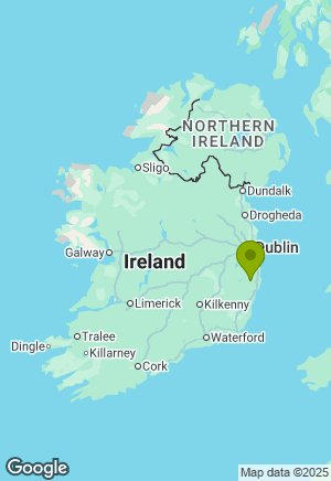 Springer Spaniel for sale in Wicklow