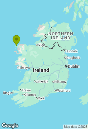 Bernese Mountain Dog for sale in Mayo