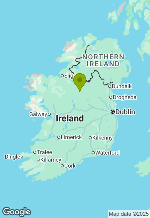 Cockapoo for sale in Longford