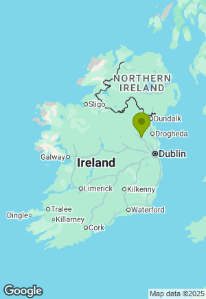 Border Collie for sale in Meath