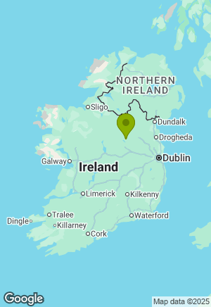 Chihuahua for sale in Westmeath