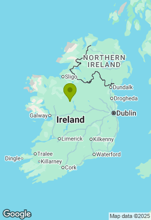 Golden Retriever for sale in Roscommon