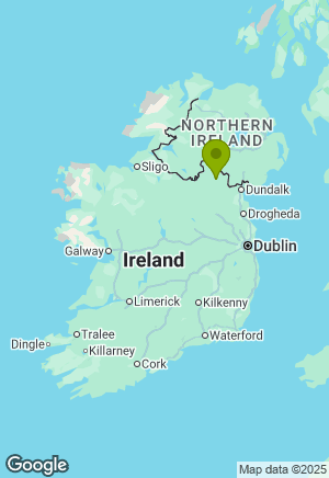 Jack Russell for sale in Monaghan