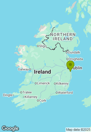 Border Collie for sale in Wicklow