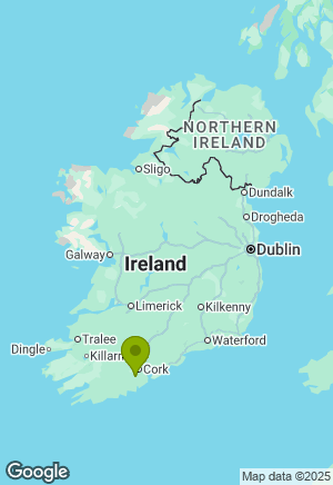 Australian Kelpie for sale in Cork
