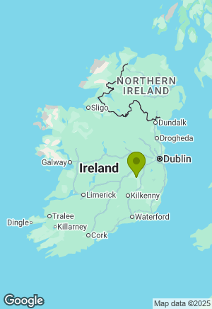 Golden Retriever for sale in Kildare