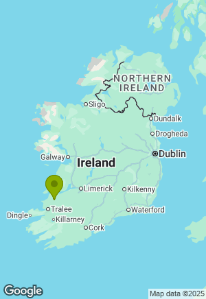 Cavalier King Charles Spaniel for sale in Kerry