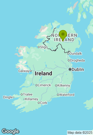 German Shepherd for sale in Tyrone