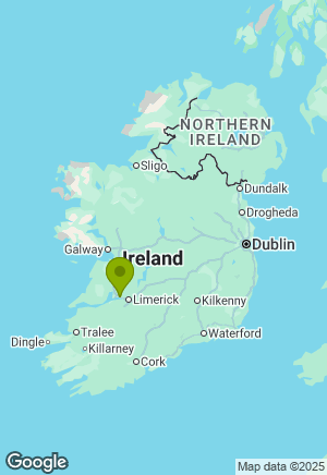 Chihuahua for sale in Clare