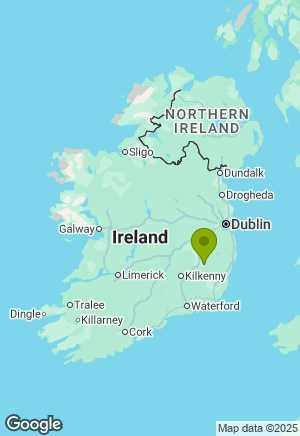 Golden Retriever for sale in Carlow