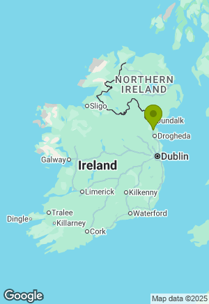 Labrador for sale in Louth