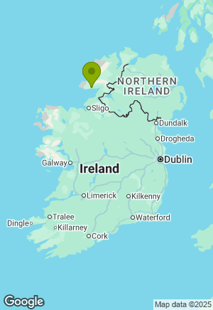 Schnauzer for sale in Donegal