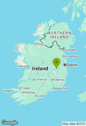 Golden Retriever for sale in Kildare