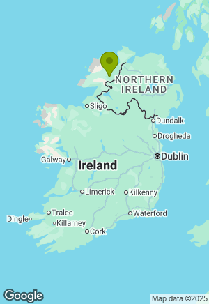 Maltipoo for sale in Donegal