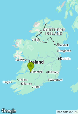 German Shepherd for sale in Limerick