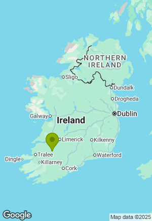 Cavachon for sale in Limerick