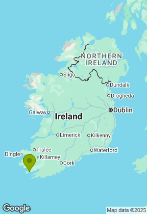 Border Collie for sale in Cork