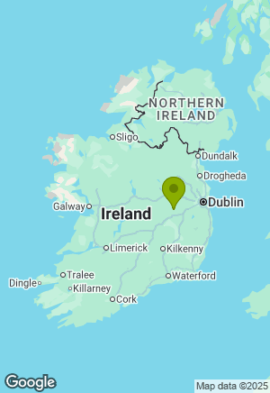 Golden Retriever for sale in Kildare