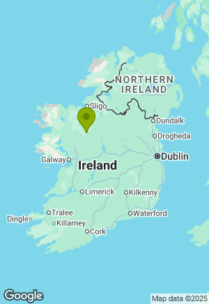 Japanese Spitz for sale in Roscommon