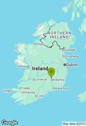 Labrador for sale in Kilkenny