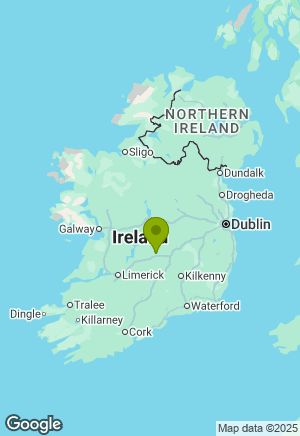 Golden Retriever for sale in Tipperary