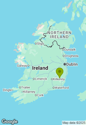 Rhodesian Ridgeback for sale in Wexford