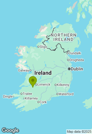 Bulldog for sale in Limerick