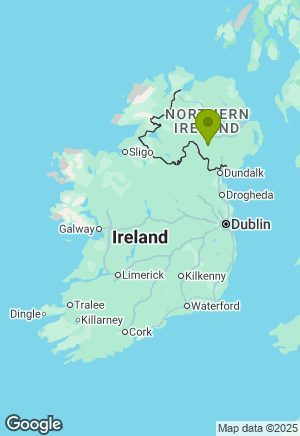 Labrador for sale in Armagh