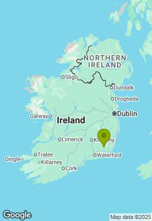 Cocker Spaniel for sale in Wexford