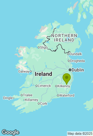 Chow Chow for sale in Wicklow