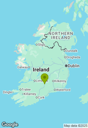 Golden Retriever for sale in Tipperary