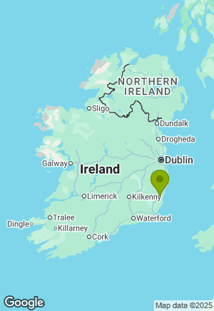 Welsh Corgi Pembroke for sale in Wexford