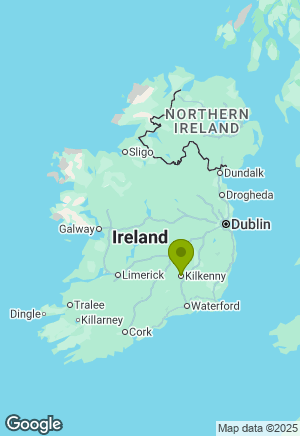 German Shepherd for sale in Kilkenny