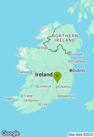 Golden Retriever for sale in Kilkenny