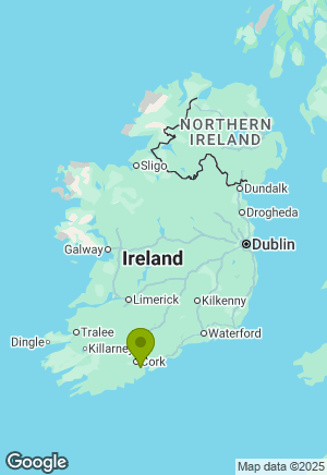 German Shepherd for sale in Cork