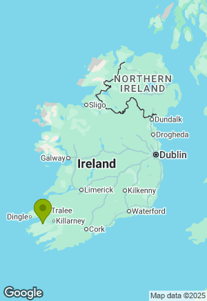 Jack Russell for sale in Kerry