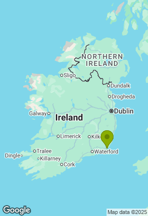 Sprocker for sale in Wexford