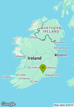 Newfoundland for sale in Tipperary