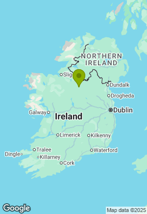 Golden Retriever for sale in Leitrim