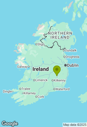 Border Collie for sale in Carlow