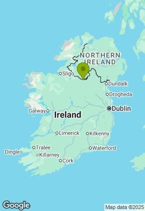 French Bulldog for sale in Cavan