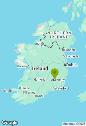 Golden Retriever for sale in Kilkenny