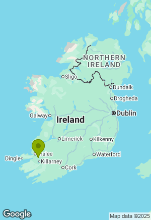 Bernese Mountain Dog for sale in Kerry