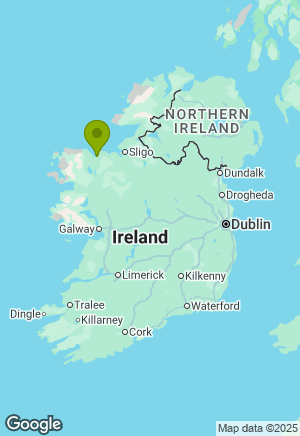 Border Collie for sale in Sligo