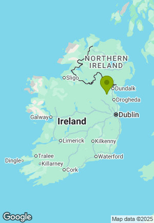 Cockapoo for sale in Meath