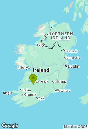 Cocker Spaniel for sale in Limerick