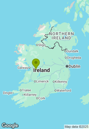 Golden Retriever for sale in Galway