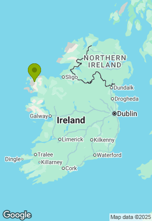 Yorkshire Terrier for sale in Mayo