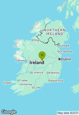 Golden Retriever for sale in Offaly